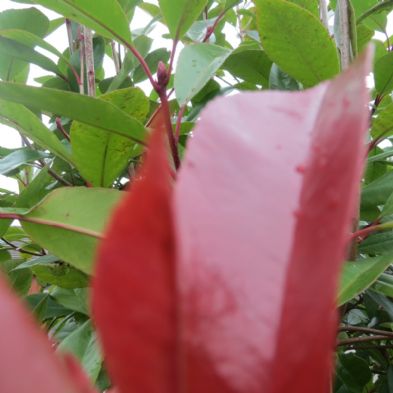 tsa_PhotoclubWk4 (18)